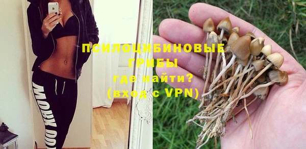 тгк Алексин
